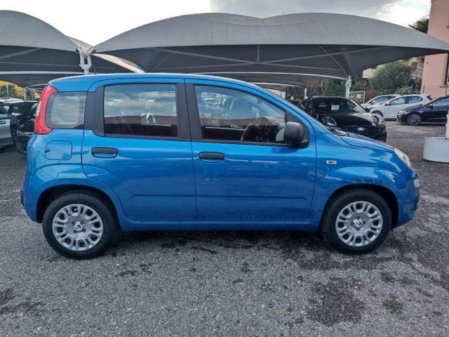 FIAT Panda 1.0 FireFly S&S Hybrid Icon
