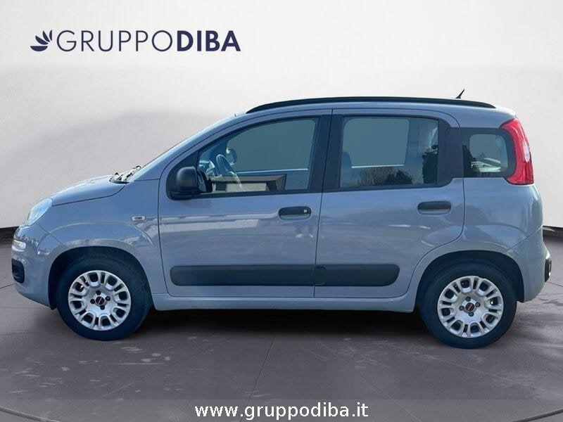 FIAT Panda 2016 Benzina 1.2 Easy s&s 69cv my19