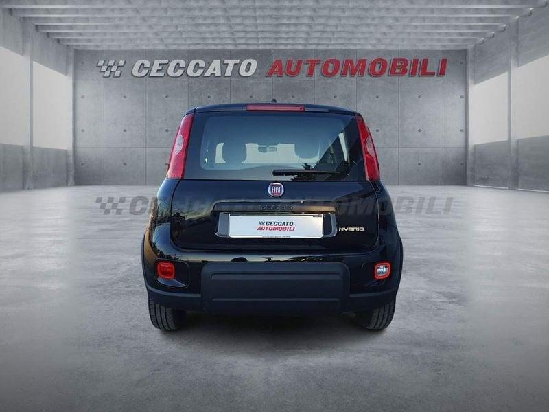 FIAT Panda Panda 1.0 firefly hybrid s&s 70cv