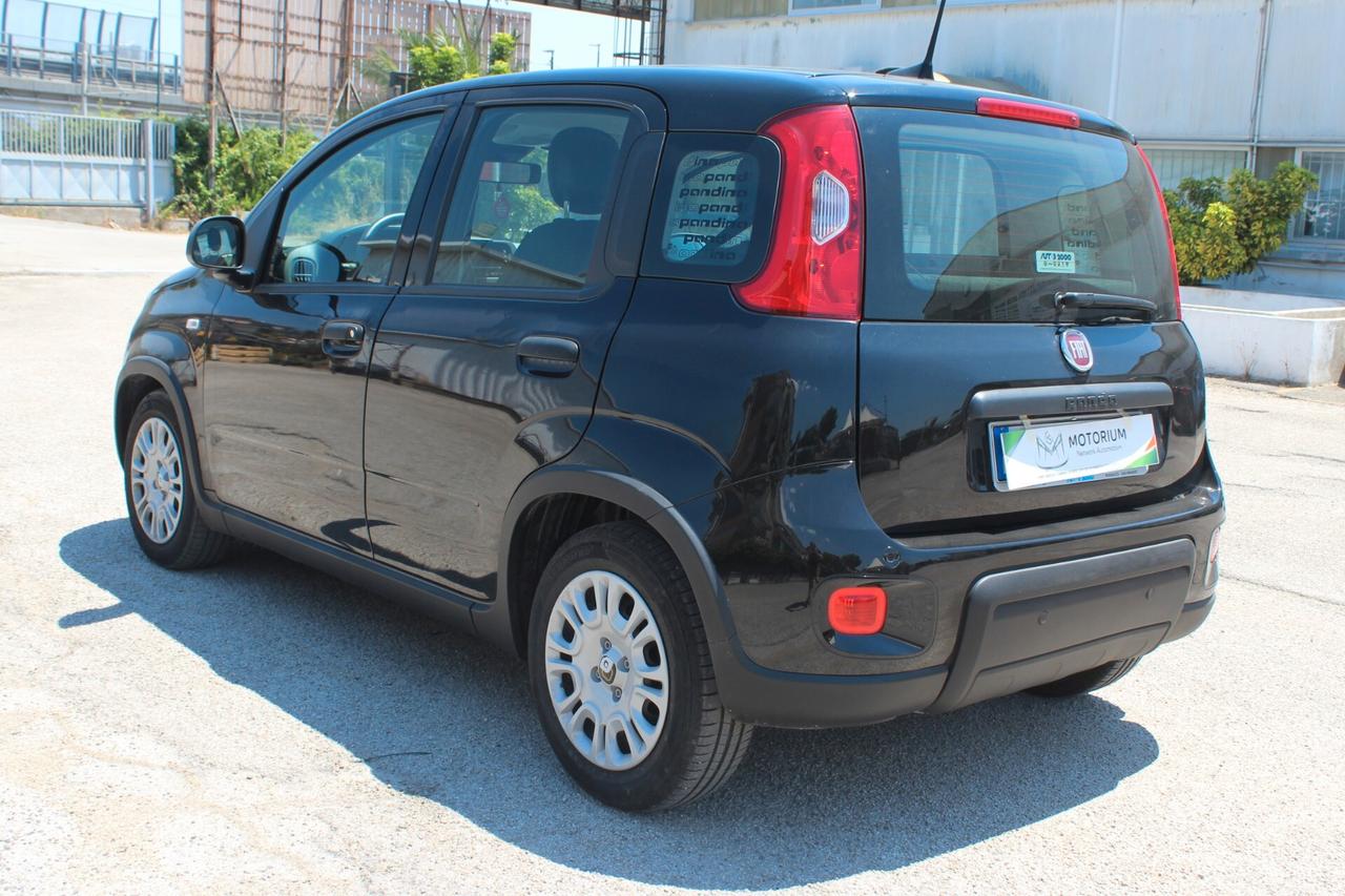 Fiat Panda 1.0 FireFly S&S Hybrid Pandina