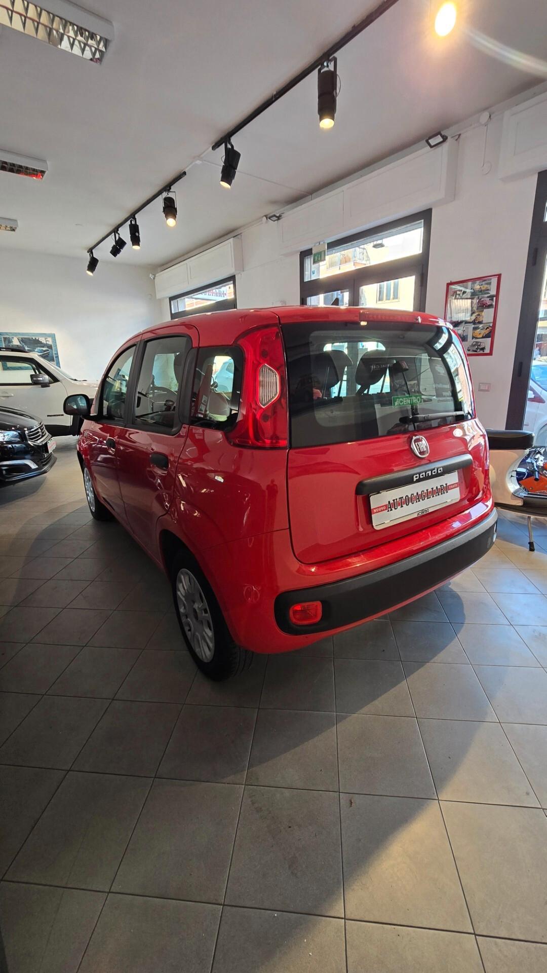 Fiat Panda 1.2 fire 69cv Easy - 80.000 km