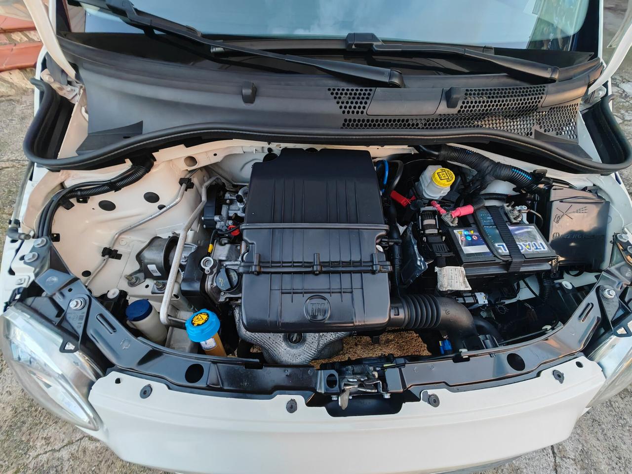 Fiat 500 1.2 benzina 03/2015 CV69 LOUNGE