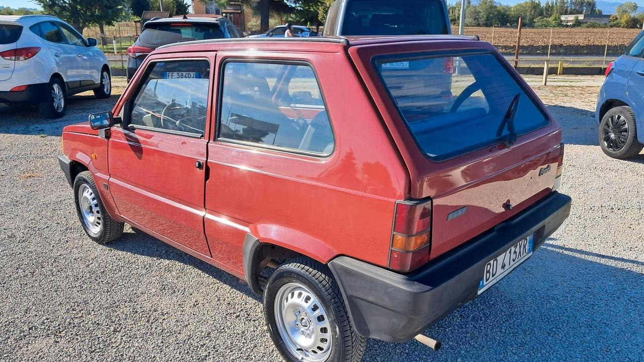 Fiat Panda 900 i.e. cat Young