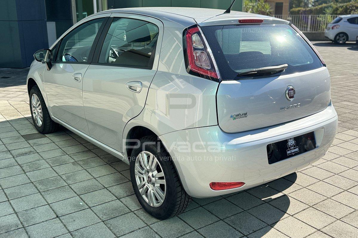 FIAT Punto 1.4 8V 5 porte Natural Power Young