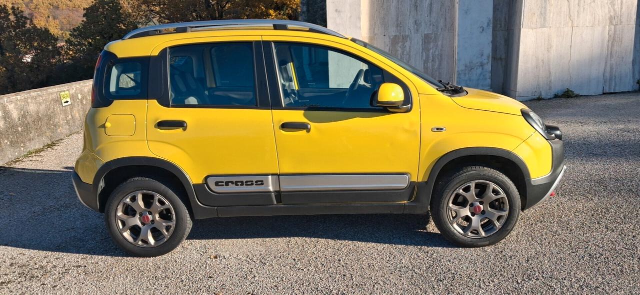 Fiat Panda 1.3 MJT 16V DPF 4x4 Climbing