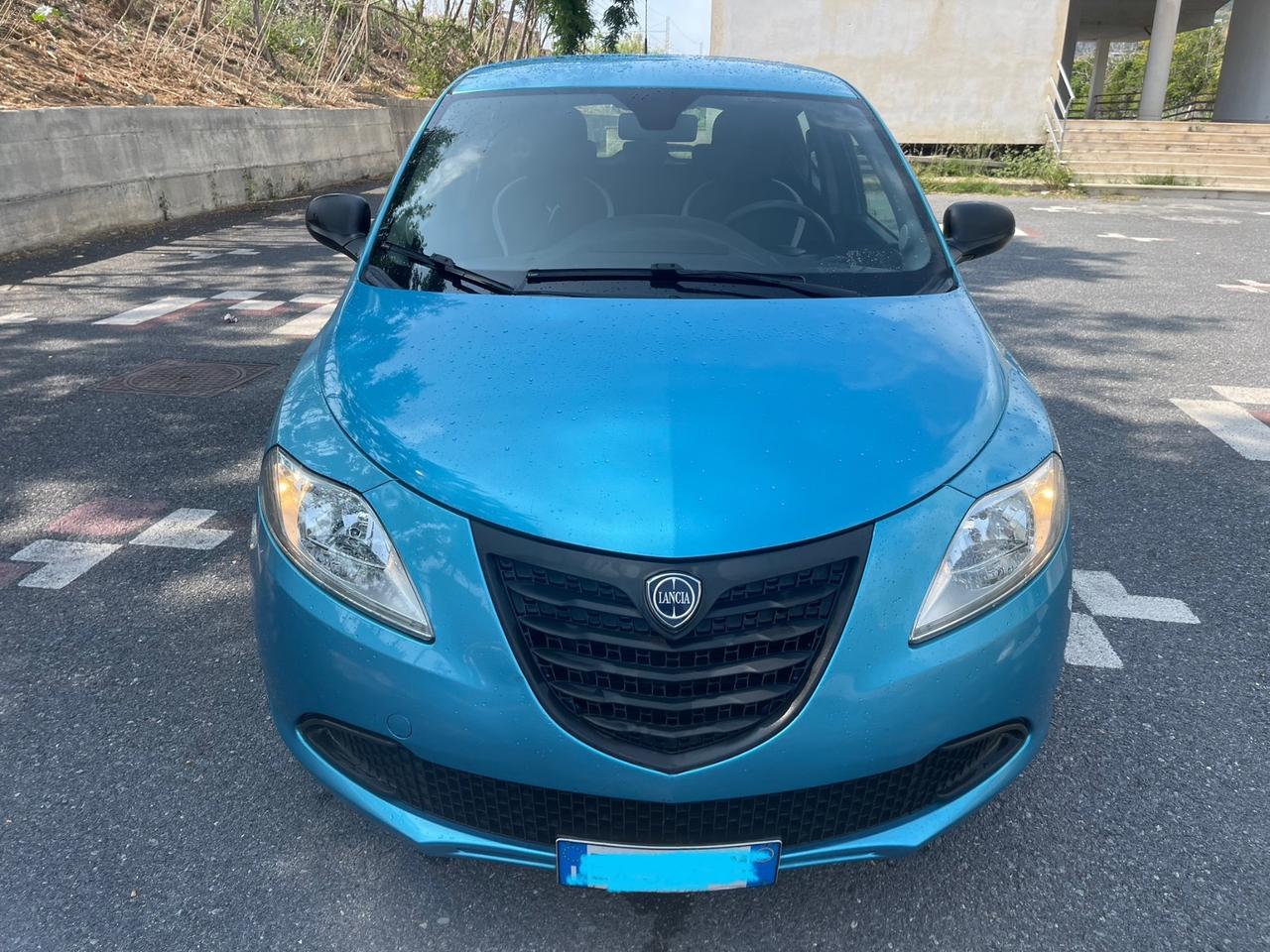 Lancia Ypsilon 1.3 MJT 16V 95 CV 5 porte S&S Elefantino