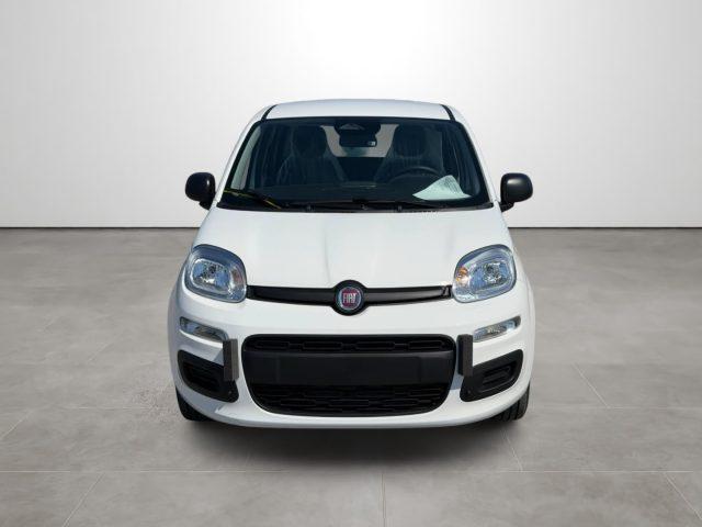 FIAT Pandina 1.0 FireFly 65 CV Hybrid Icon