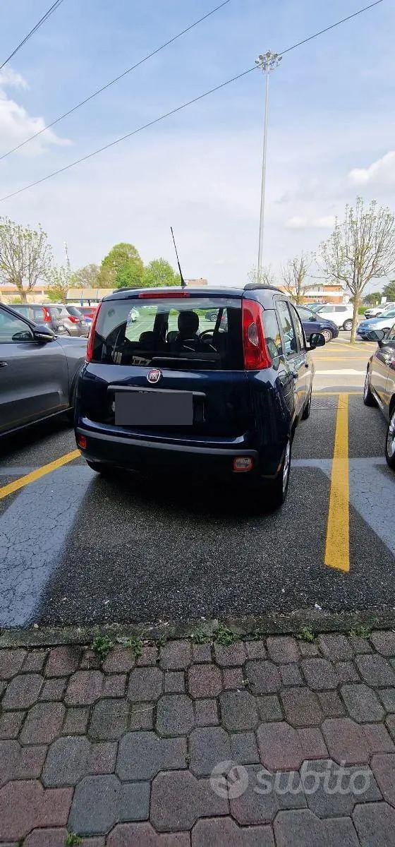 FIAT PANDA 1.2 BENZ. LOUNGE