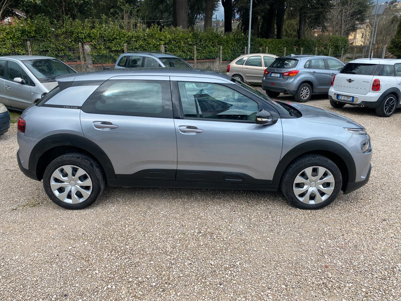 Citroen C4 Cactus BlueHDi 100 S&S Feel