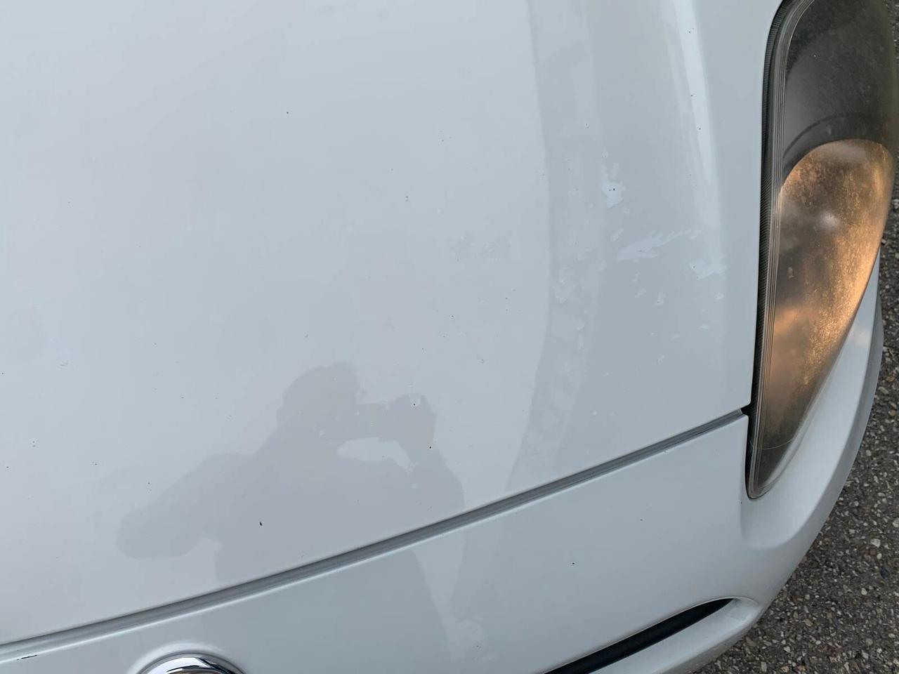 Fiat Punto 1.4 8V 5 porte Easypower Lounge