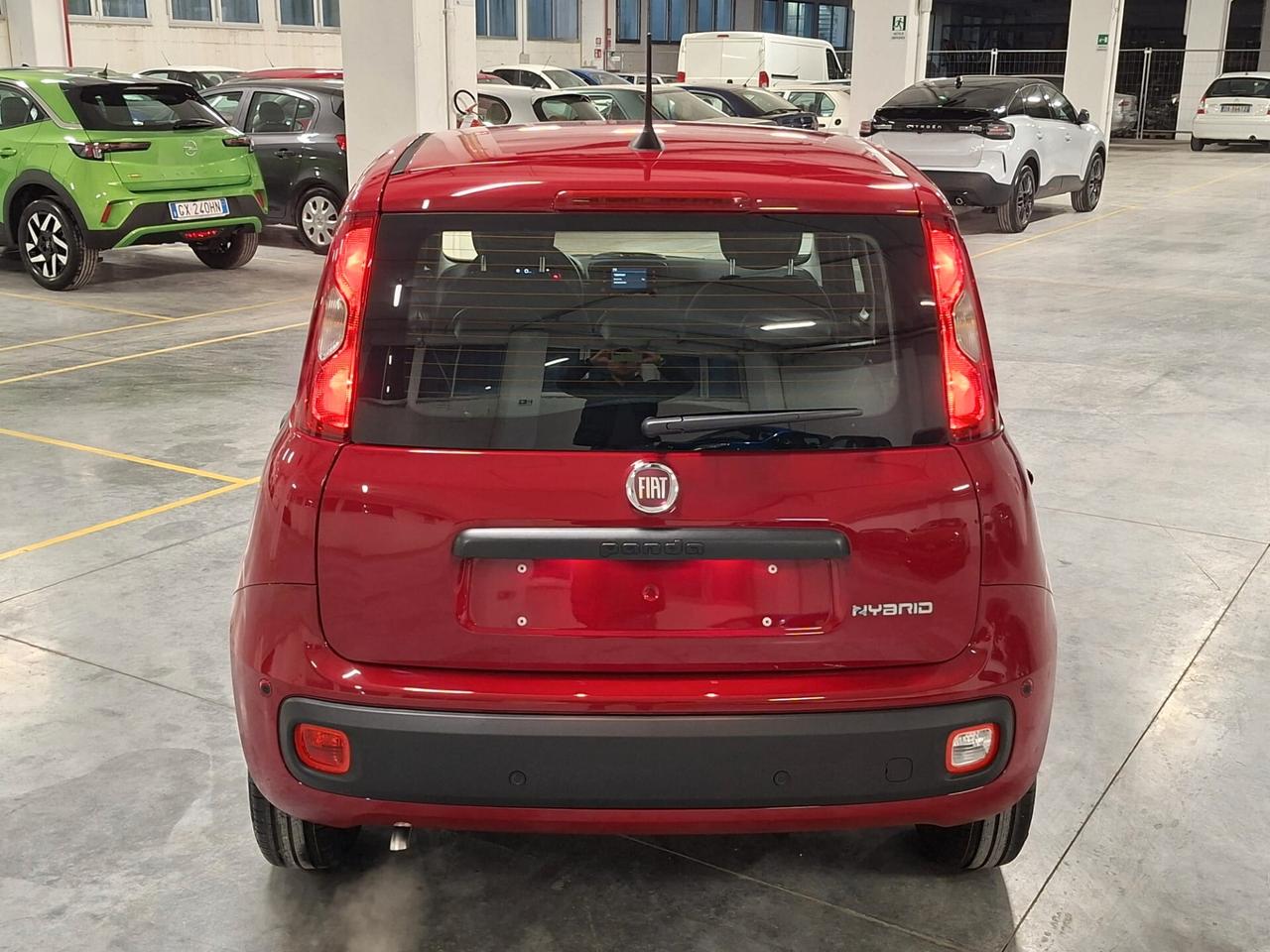 Fiat Panda 1.0 FireFly Hybrid 70CV Icon Km.0 (414)
