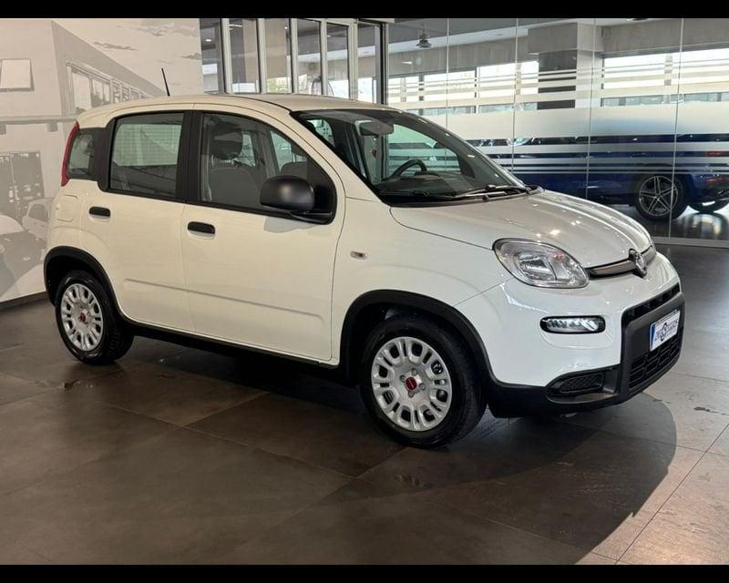 FIAT Panda 3ª serie 1.0 FireFly S&S Hybrid