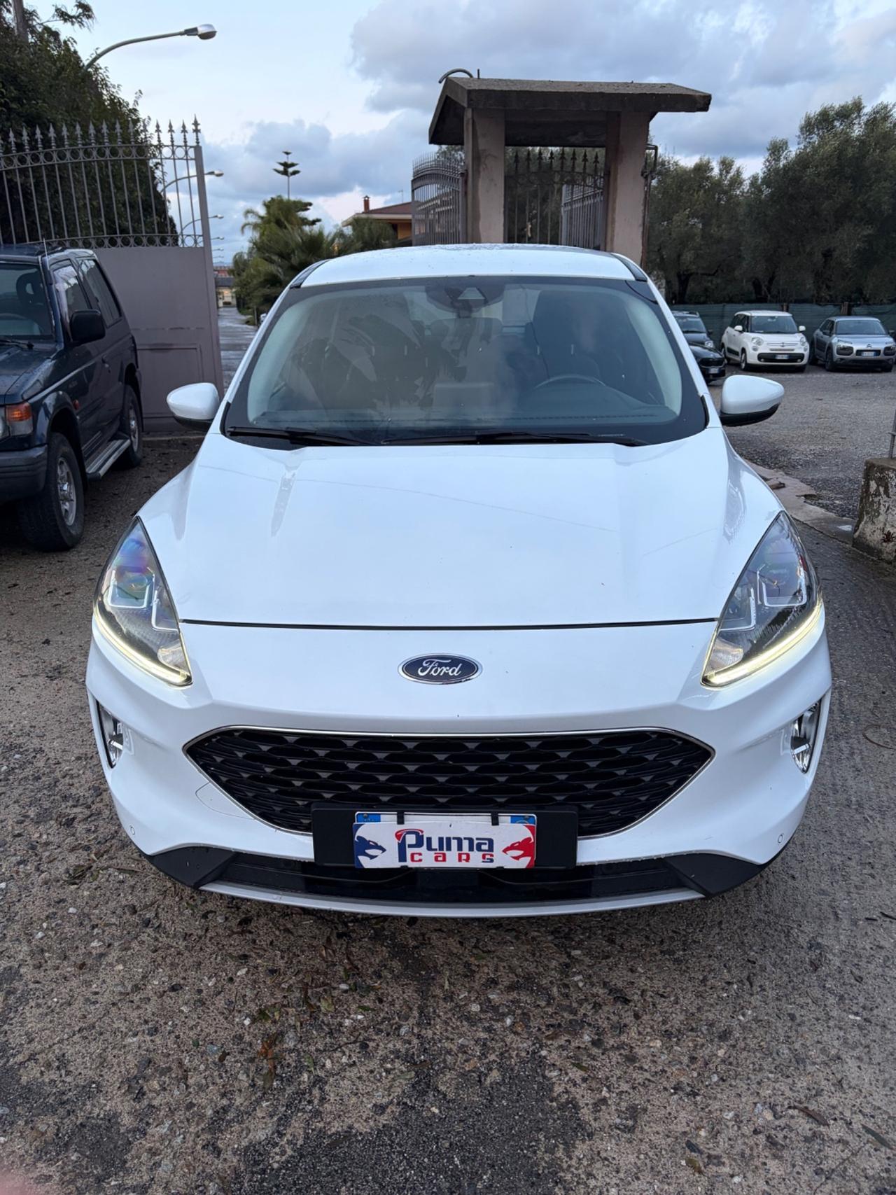 Ford Kuga 1.5 EcoBlue 120 CV aut. 2WD ST-Line