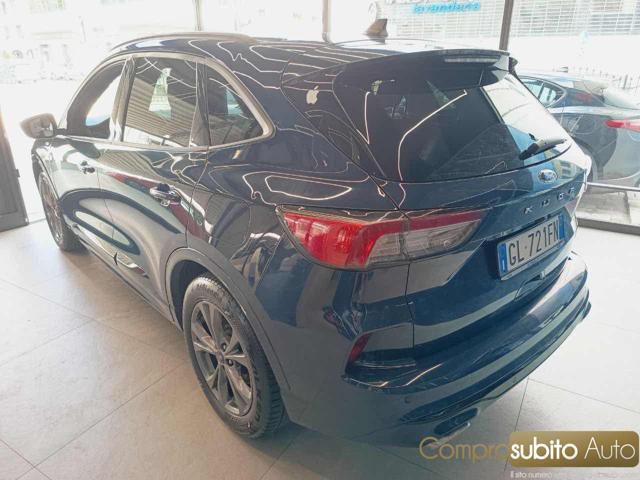 FORD Kuga 1.5 EcoBlue 120 CV 2WD Titanium Business