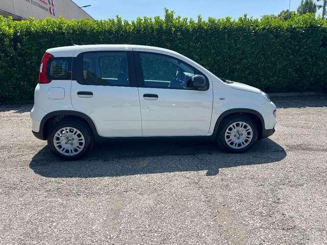 Fiat Panda 1.0 FireFly S&S Hybrid Pandina