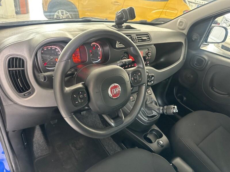 FIAT Panda 3ª serie Panda 1.2 City Cross