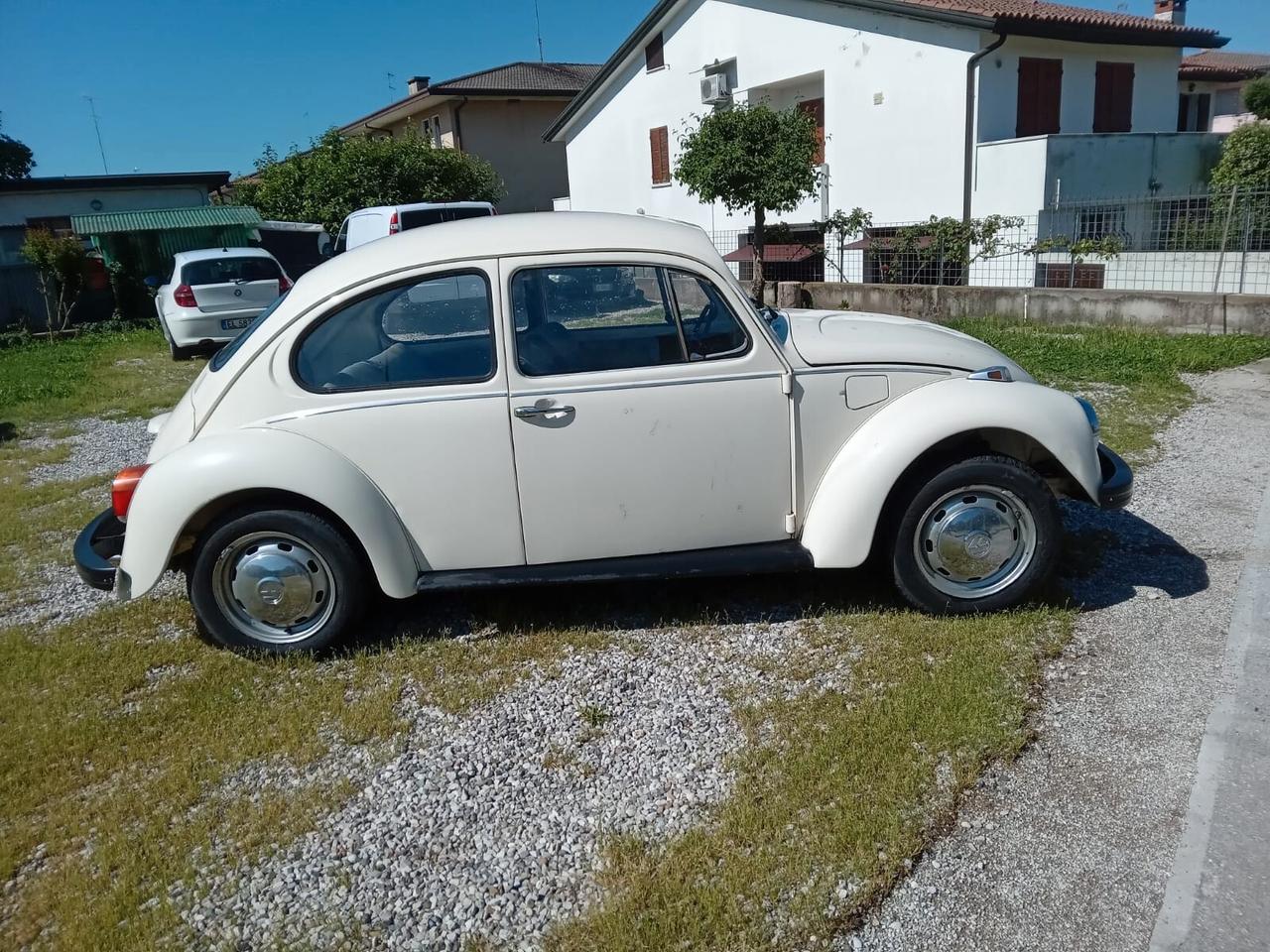 Volkswagen Maggiolino