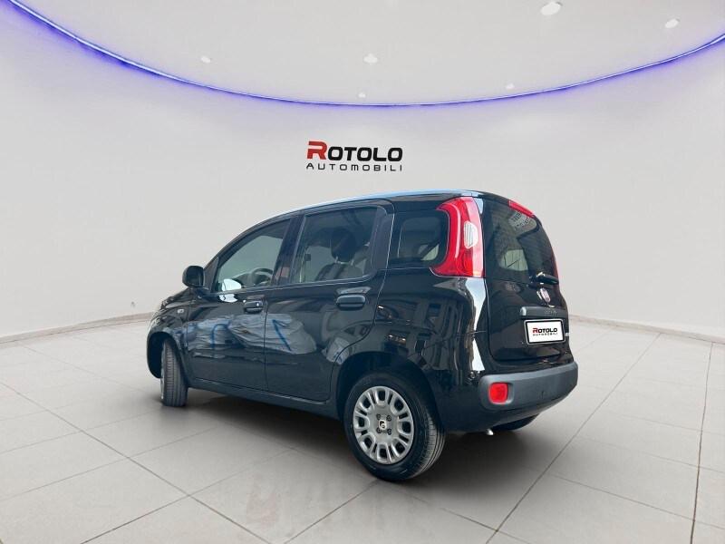 FIAT Panda 3ª serie Panda 1.0 FireFly S&S Hybr...