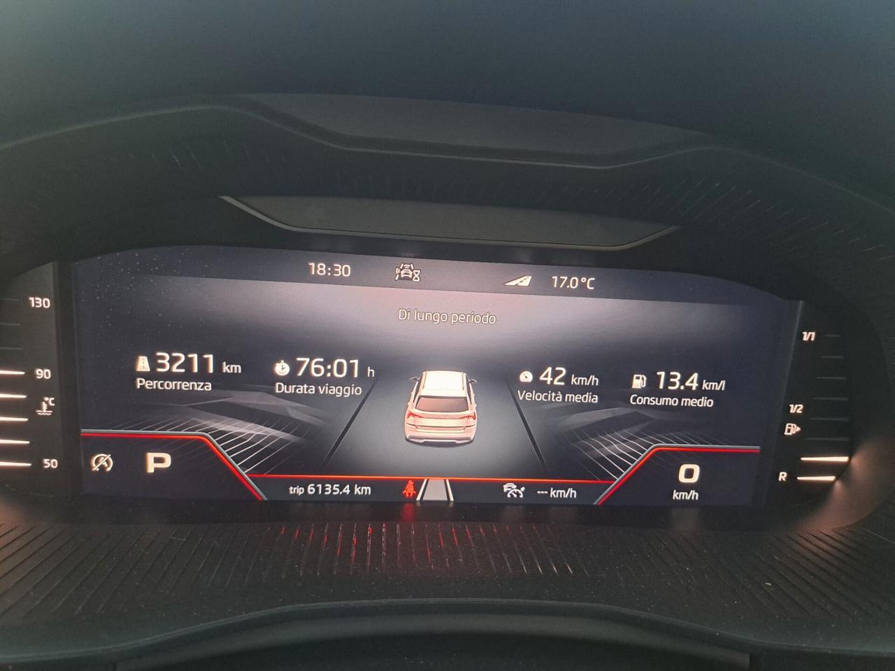 Skoda Kamiq 1.0 TSI 110 CV DSG Monte Carlo