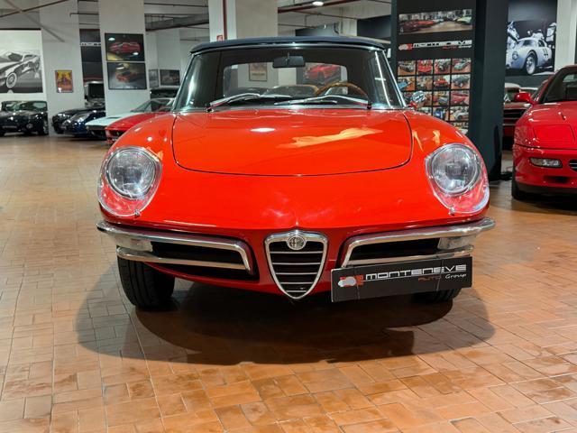 ALFA ROMEO Spider Osso di Seppia 1750 Veloce