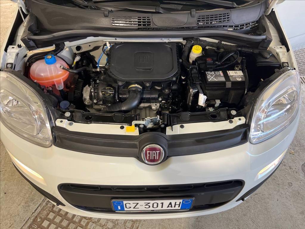 FIAT Pandina 1.0 firefly hybrid s&s 70cv del 2025