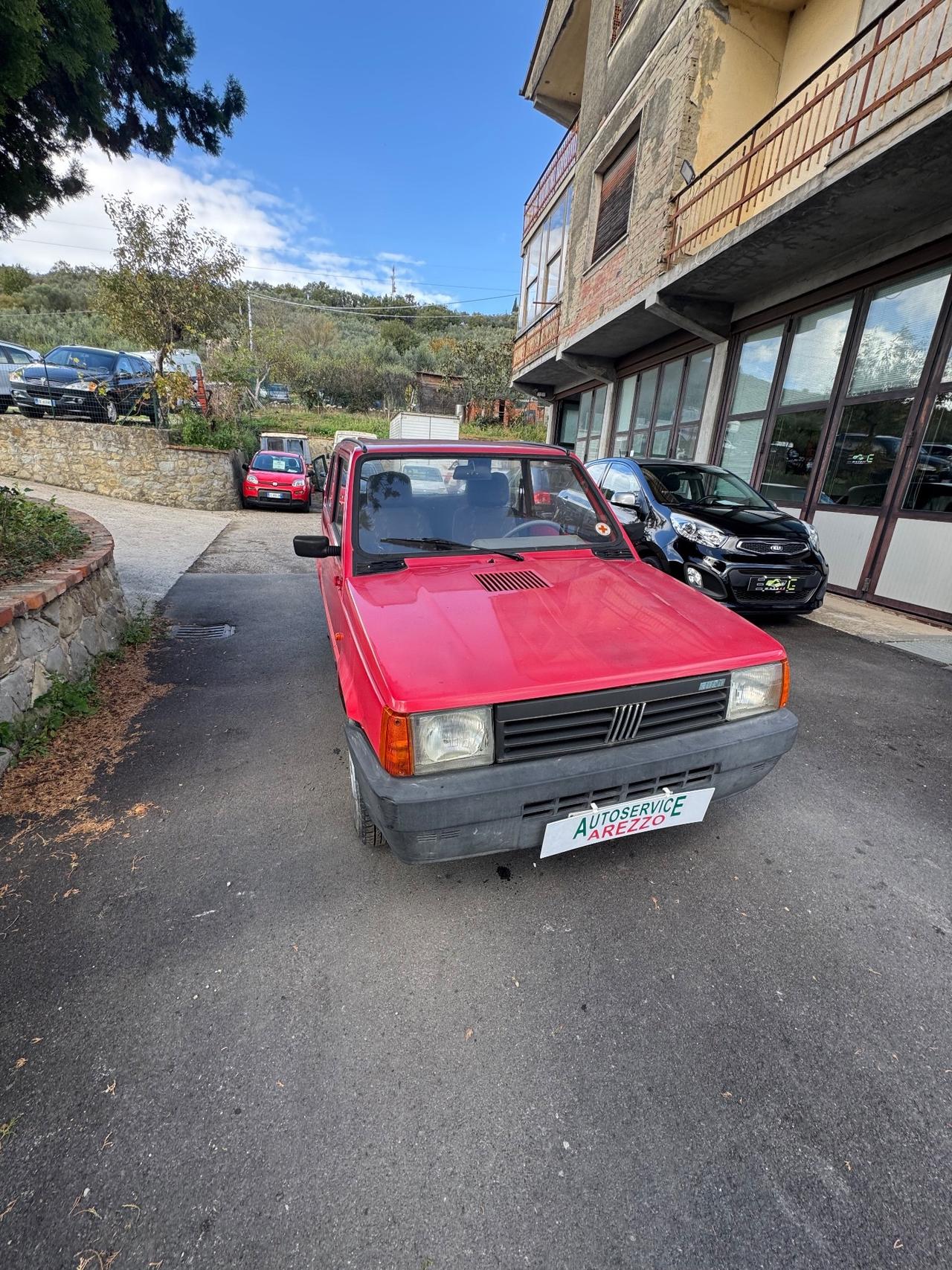 Fiat Panda 900 i.e. cat Young