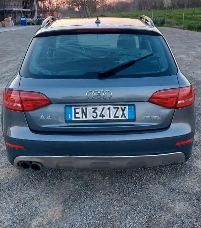 Audi A4 allroad A4 allroad 2.0 TDI 177 CV Business Plus