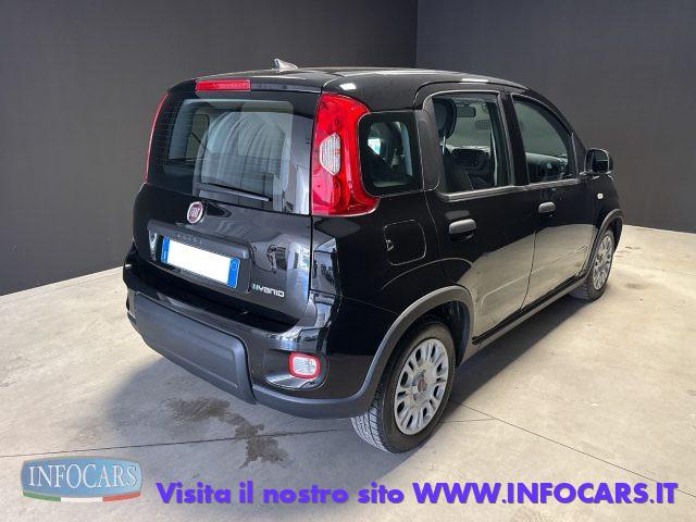FIAT Panda 1.0 Hybrid 70 cv - Neopatentati - PROMO