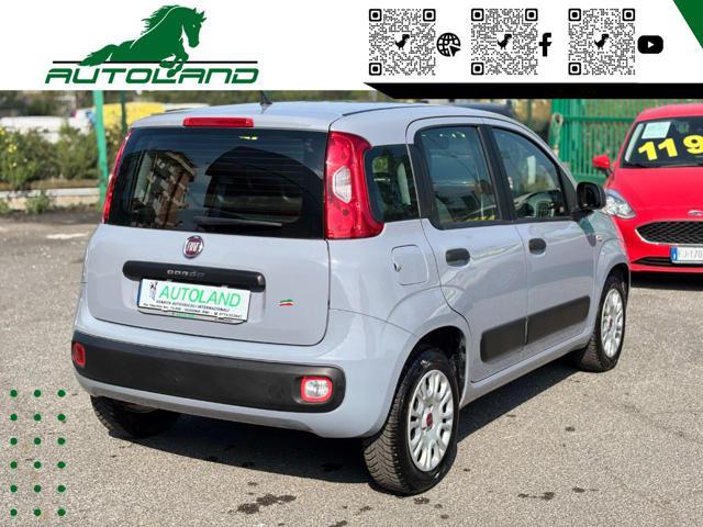 FIAT Panda 1.2 Easy OK NEO PATENTATI