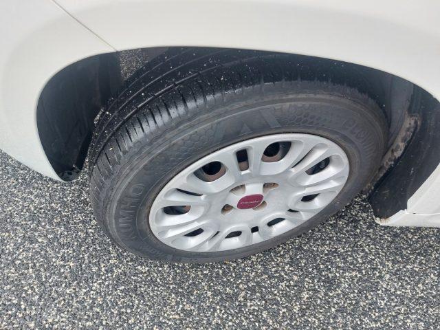 FIAT Panda 1.2 Lounge GPL Lounge Distribuzione ok km 89000