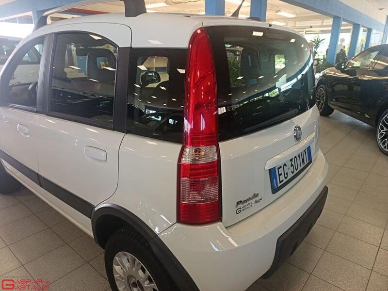 FIAT Panda Panda 1.3 mjt 16v MyLife 75cv 4x4 Trazione integrale