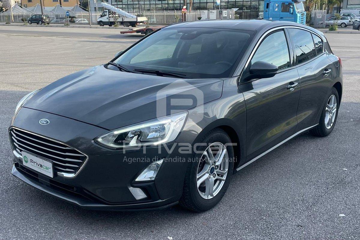 FORD Focus 1.5 EcoBlue 95 CV 5p. Business