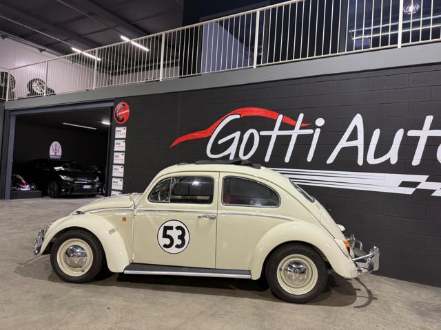 VOLKSWAGEN Maggiolino COMPLETAMENTE RESTAURATO