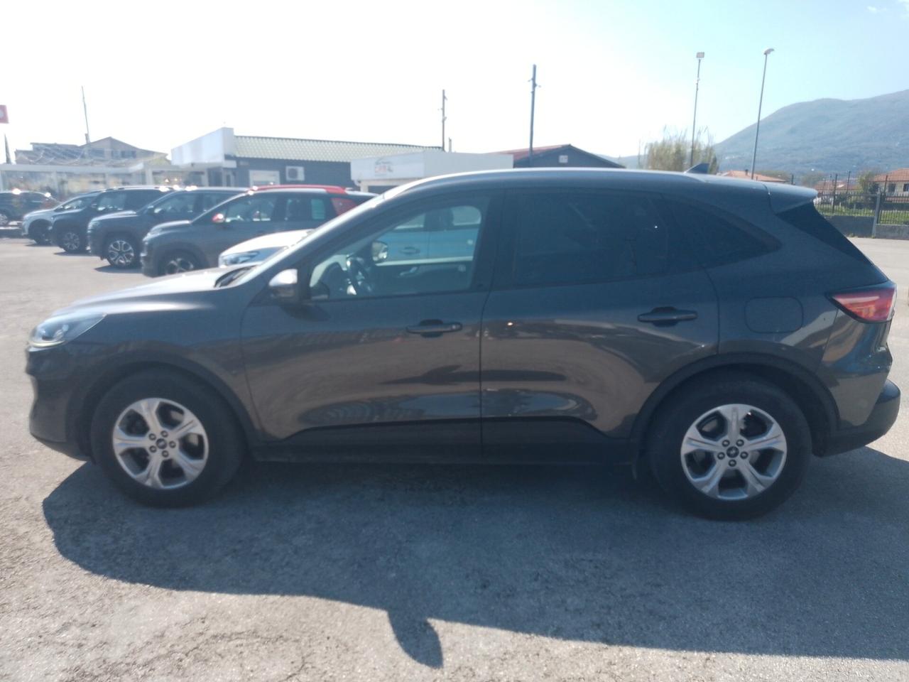 Ford Kuga 1.5 EcoBlue 120 CV 2WD Titanium