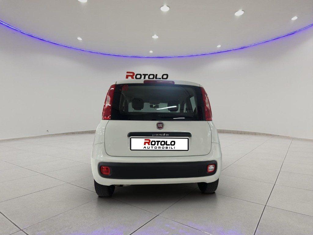 FIAT Panda 3ª serie Panda 1.2 EasyPower Easy