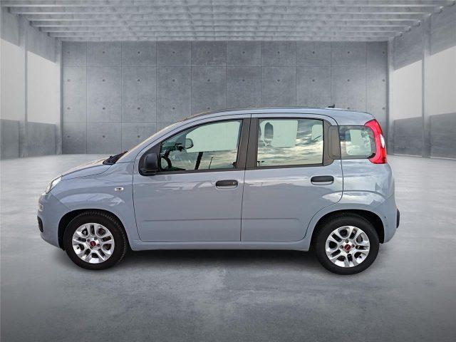 FIAT Panda 3ª serie 1.0 FireFly S&S Hybrid