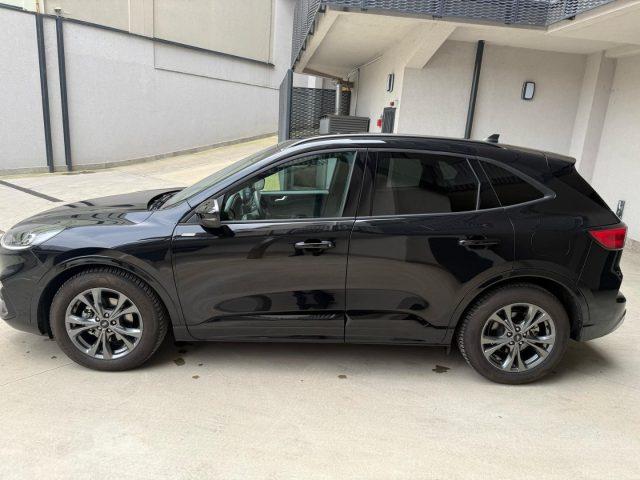 FORD Kuga 2.0 EcoBlue 120 CV aut. 2WD ST-Line