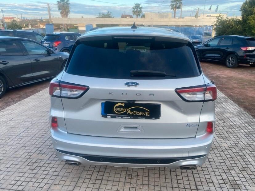 Ford Kuga 1.5 EcoBlue 120 CV 2WD ST-Line
