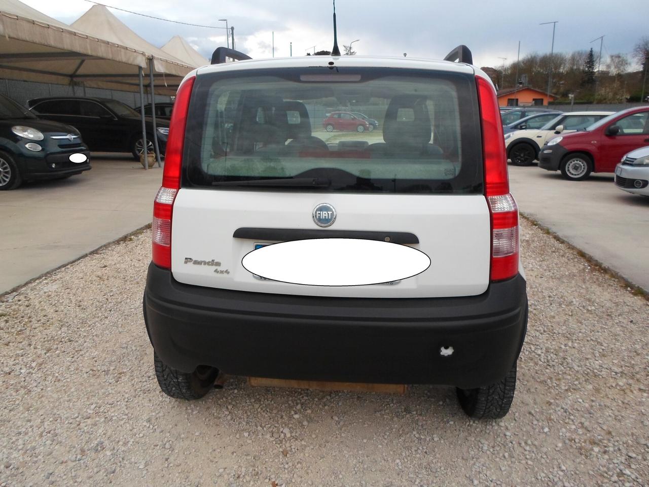 Fiat Panda 1.2 Benzina 4x4