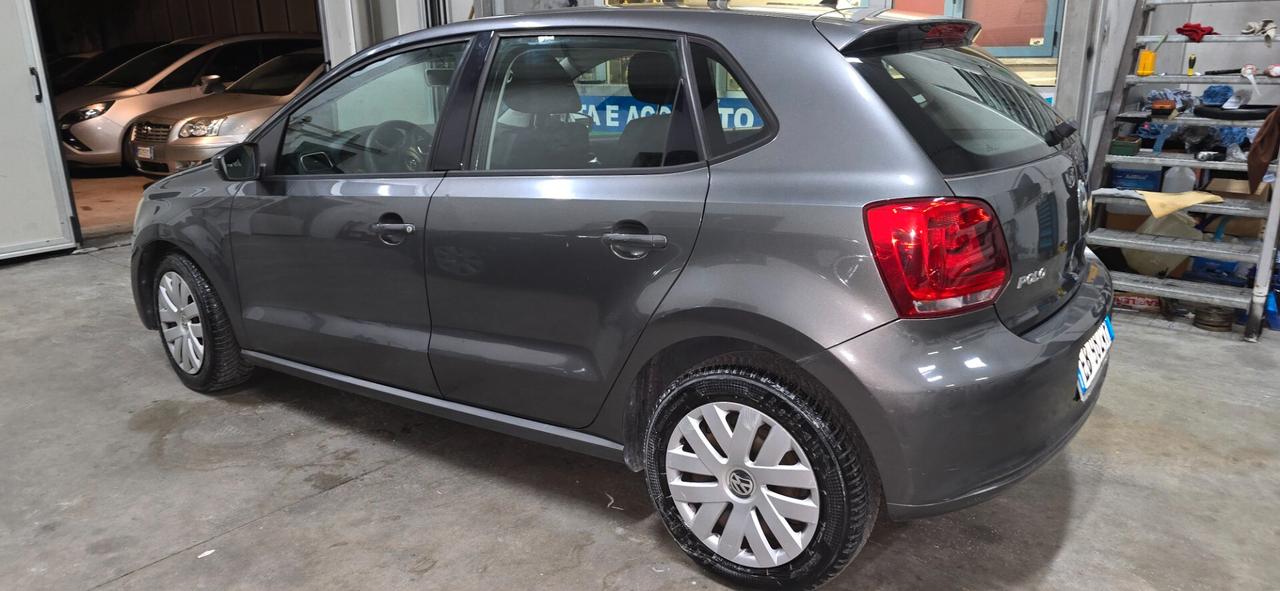 Volkswagen Polo 1.6 TDI 75CV DPF 5 porte Highline