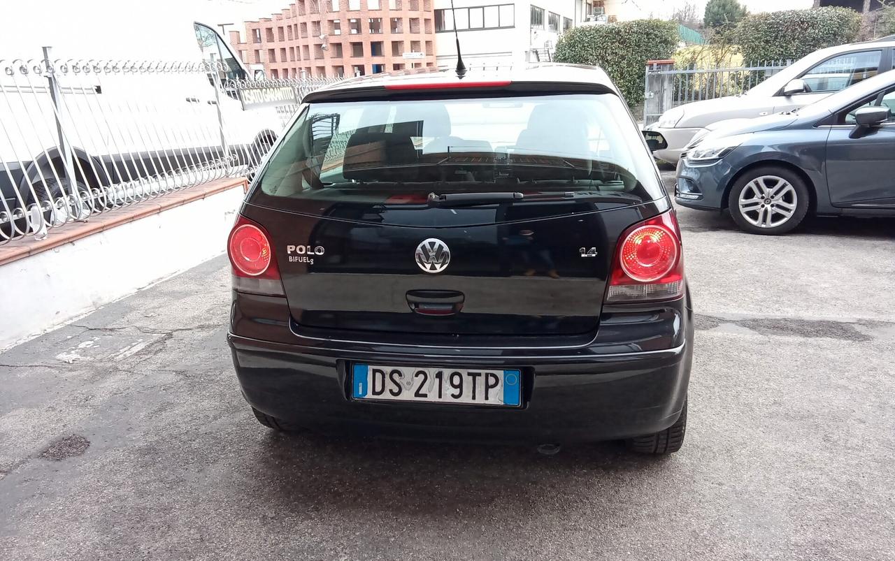 Volkswagen Polo 1.4/80CV 16V 5p. Comfort. BiFuel G