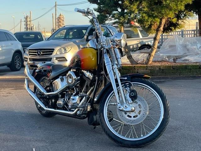 Harley-davidson 1450 Softail Springer Centenario fxsts