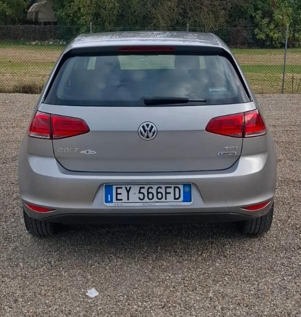 Volkswagen Golf 1.4 TGI 5p. Highline BlueMotion