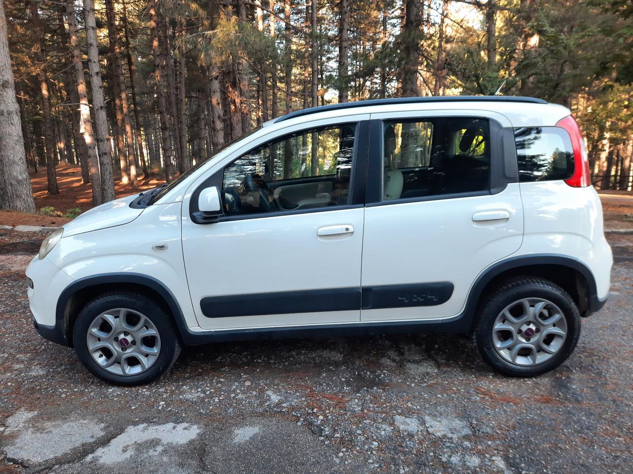 Fiat Panda 4X4 M.JET 75 CV ANTARTICA