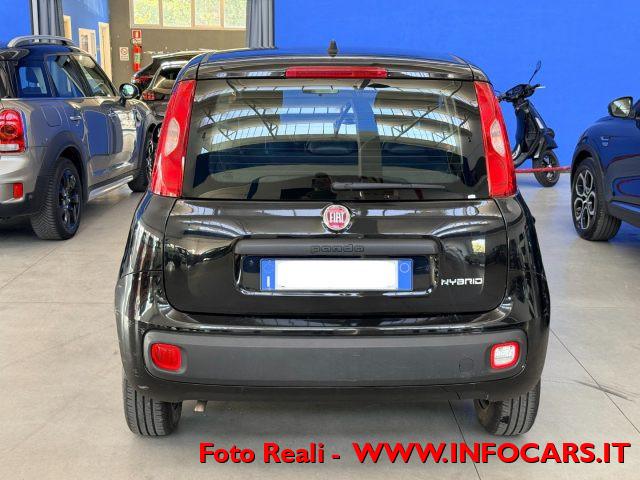 FIAT Panda Hybrid 1.0 FireFly 70 cv - PROMO