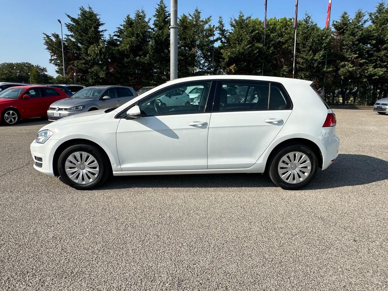 Volkswagen Golf 1.6 TDI 5p. Trendline BlueMotion Technology - 2013