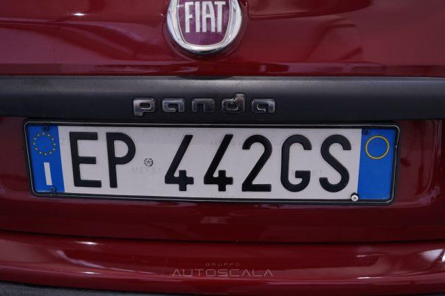 FIAT Panda 1.2 69cv Easy