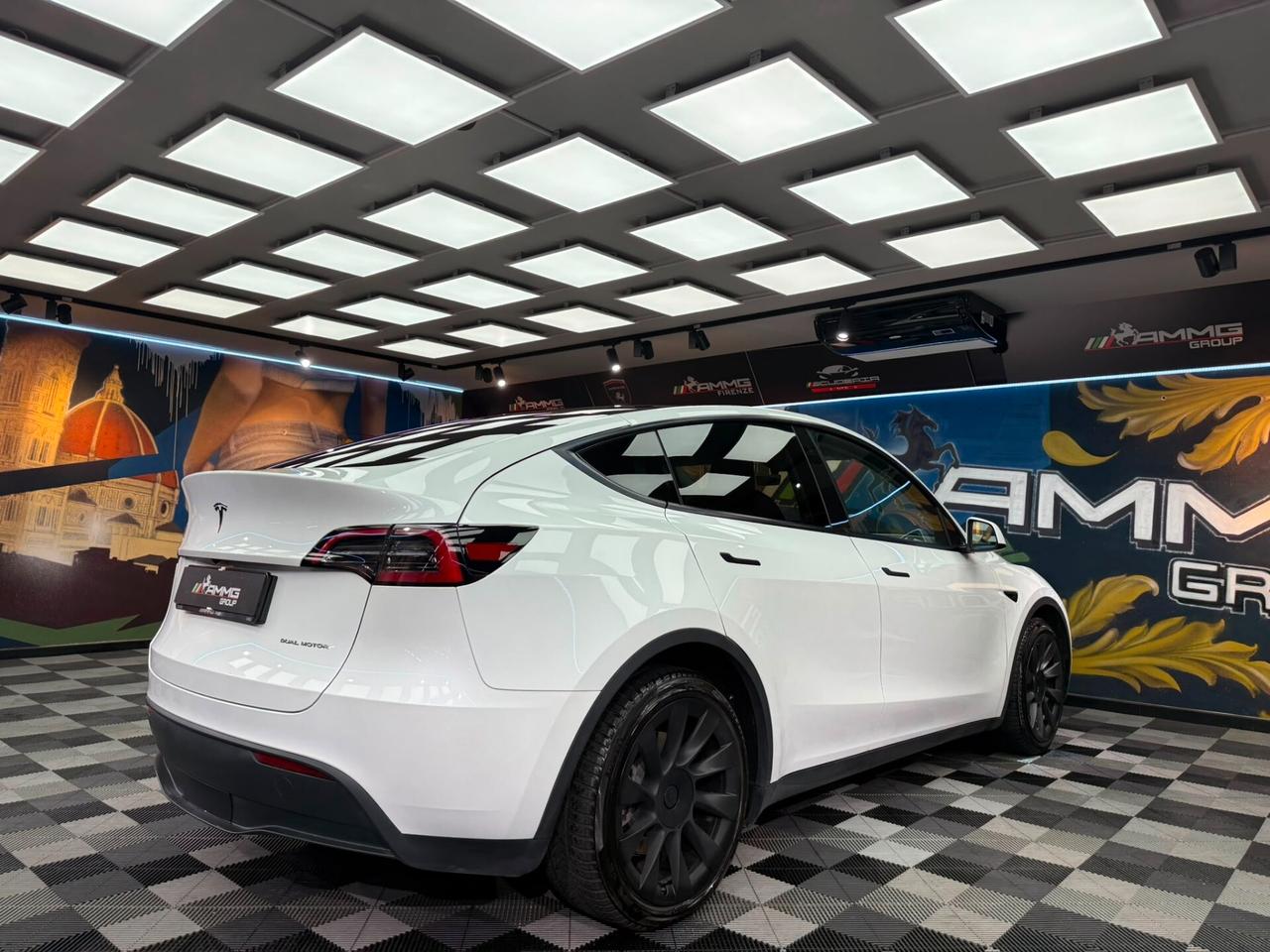 Tesla Model Y Long Range AWD (349)