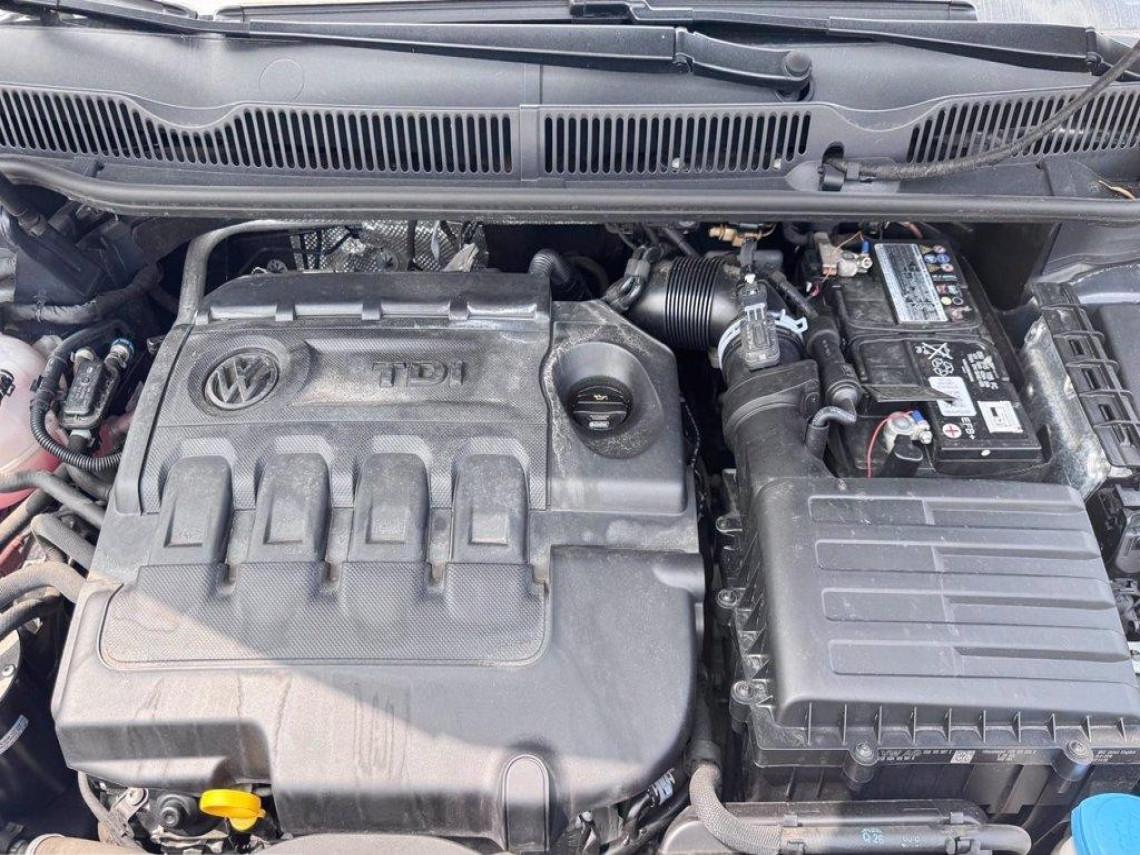 VOLKSWAGEN Touran 1 6 tdi business 115cv dsg