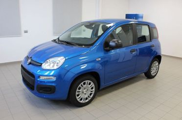 FIAT Panda Panda 1.0 FireFly S&S Hybrid Icon